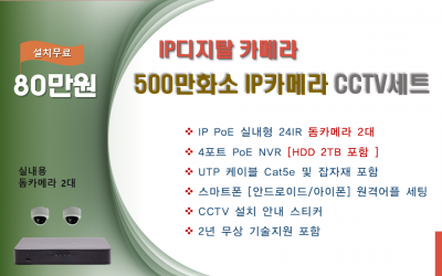 최고급형 500만화소 IP디지탈 카메라 CCTV세트 /실내용 2대